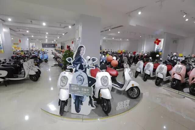 分析：2016年是中國電動車行業的分水嶺