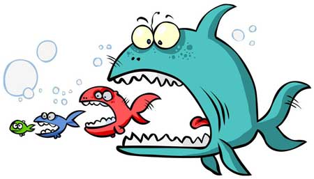 面對“大魚吃小魚”局面 防盜門企業如何應對?