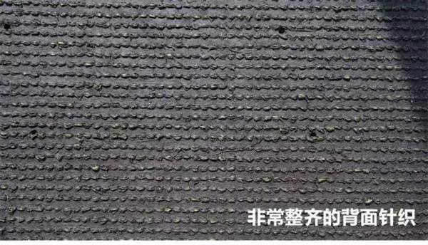 漫談人工草坪的發展歷史