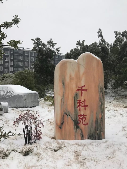 千科廚衛(wèi)電器潘遠宏：智能產品、智慧營銷一手抓，終端是品牌最后浪潮！