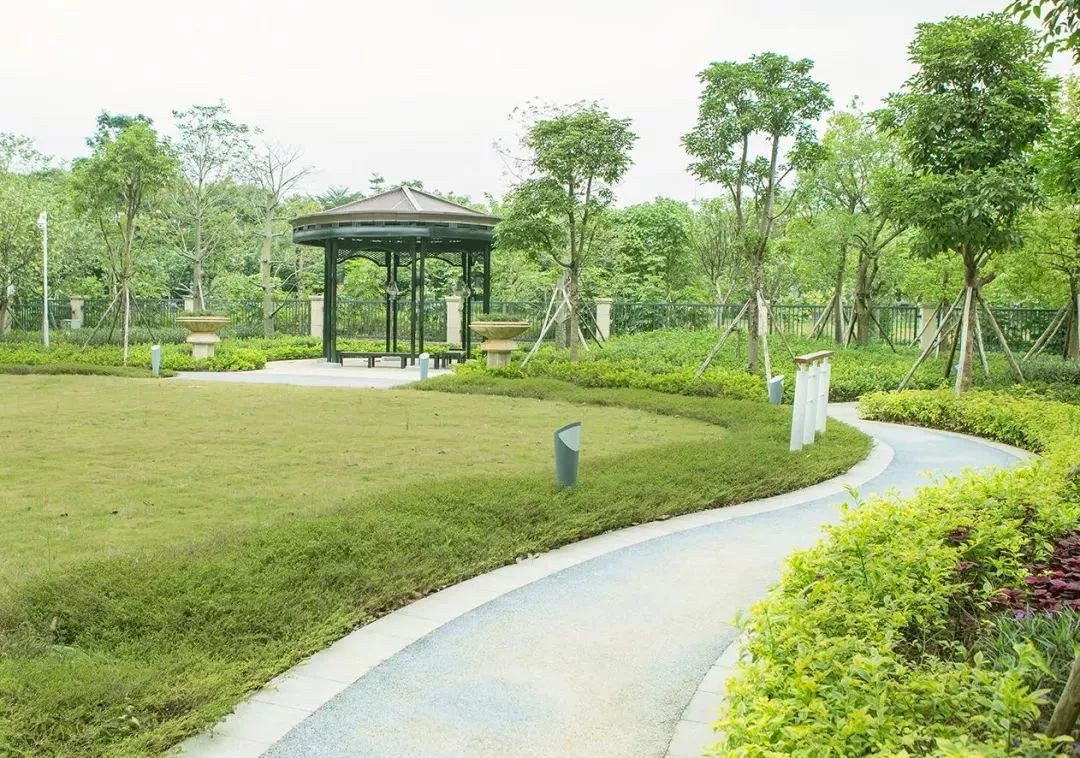 榮耀安防頒獎典禮，羅格朗斬獲“2017年度智慧城市建設(shè)貢獻獎”