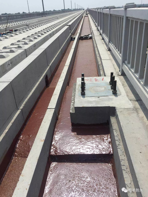 品牌案例|蜀羊防水為城市建設(shè)品質(zhì)助力，領(lǐng)跑城市發(fā)展