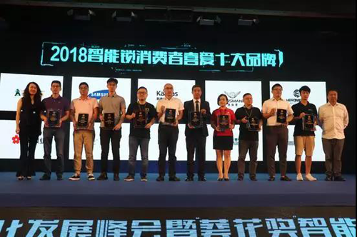 品牌榮譽|羅曼斯智能鎖斬獲行業(yè)“奧斯卡”兩項大獎！
