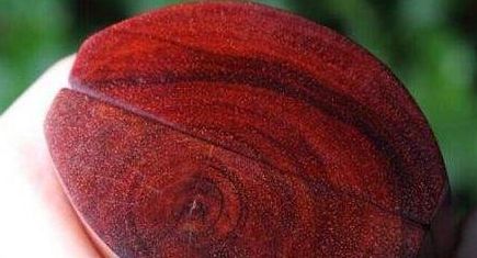 紅木家具中的小葉紫檀大葉紫檀，一字之差，二者有何不同？