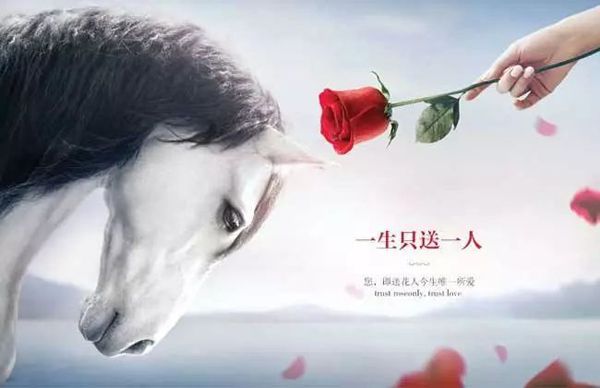 營(yíng)銷策劃六大秘笈，窮得響叮當(dāng)?shù)膭?chuàng)業(yè)公司也能爆紅!