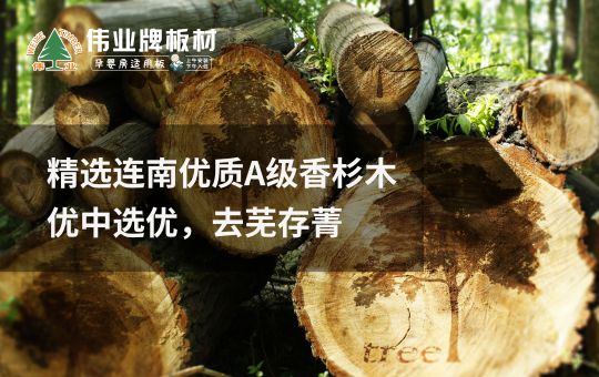 品牌發展|偉業牌板材25年匠心制造，中國板材C位品牌