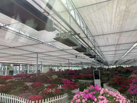 岳西大觀園12000㎡花卉大棚采用格美粵空氣源熱泵，三年無故障運行