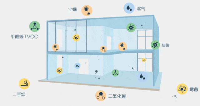 家里空氣凈化器效果越來越差？圣德芬覺得你方法不對！