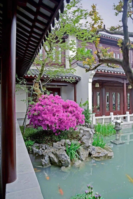 方寸之間，盡顯風(fēng)華！三宅門窗自成詩畫意境