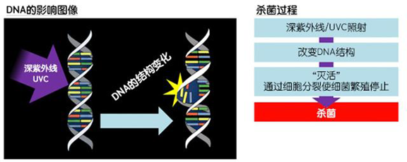 消費者開始關注到車載空氣凈化器，原來如此重要